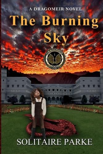 Cover image for The Burning Sky