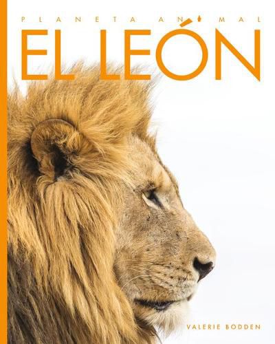 Cover image for El Leon