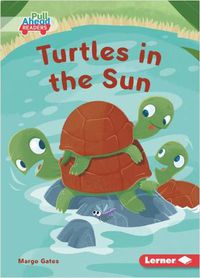 Cover image for Turtles in the Sun