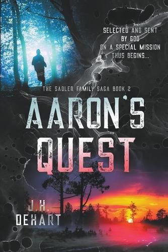 Cover image for Aaron's Quest