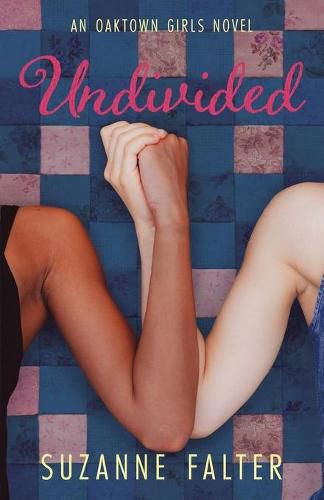 Cover image for Undivided