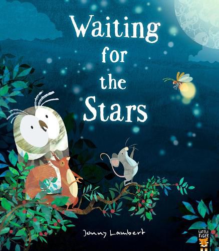 Cover image for Waiting for the Stars