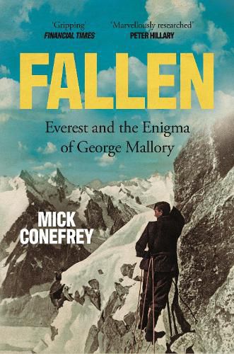 Cover image for Fallen