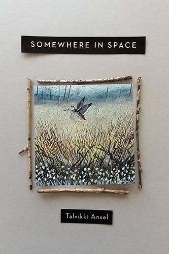 Cover image for Somewhere in Space