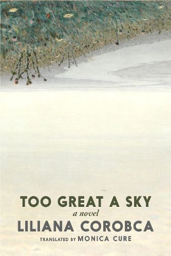 Cover image for Too Great a Sky