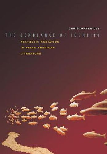Cover image for The Semblance of Identity: Aesthetic Mediation in Asian American Literature