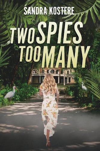 Cover image for Two Spies Too Many