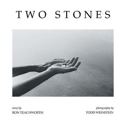 Cover image for Two Stones