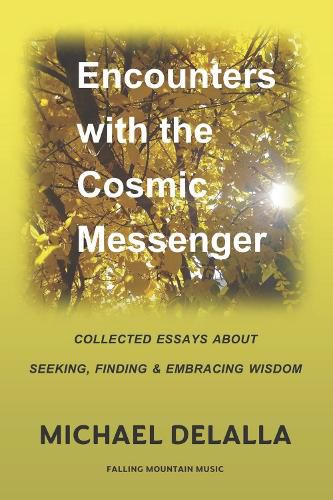 Cover image for Encounters with the Cosmic Messenger