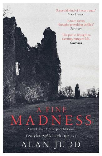 Cover image for A Fine Madness: Sunday Times 'Historical Fiction Book of the Month