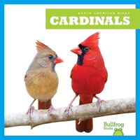 Cover image for Cardinals