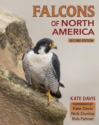 Cover image for Falcons of North America