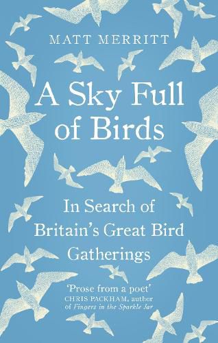 Cover image for A Sky Full of Birds