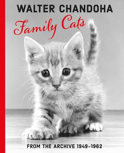Cover image for Walter Chandoha: Family Cats From the Archive 1950-1969