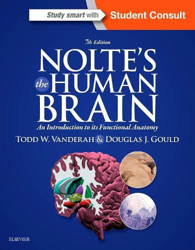 Cover image for Nolte's The Human Brain: An Introduction to its Functional Anatomy