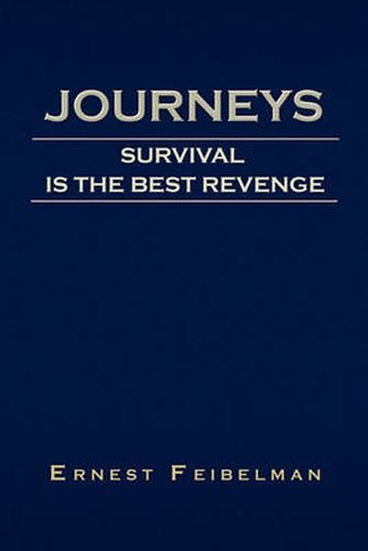 Cover image for Journeys