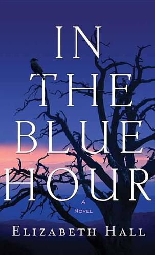Cover image for In the Blue Hour