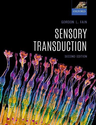 Cover image for Sensory Transduction