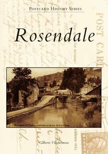 Cover image for Rosendale