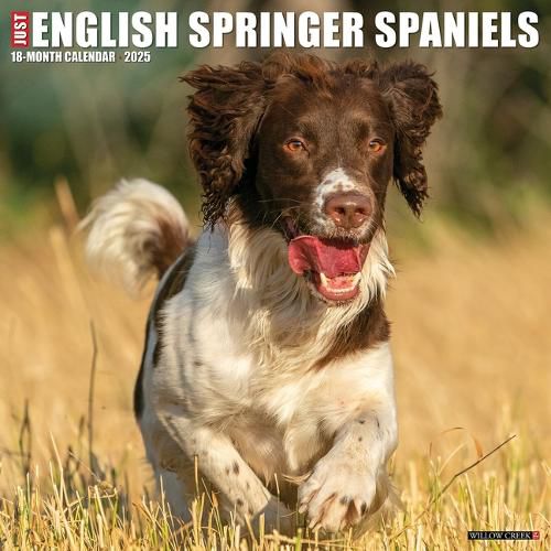 Cover image for English Springer Spaniels 2026 12 X 12 Wall Calendar