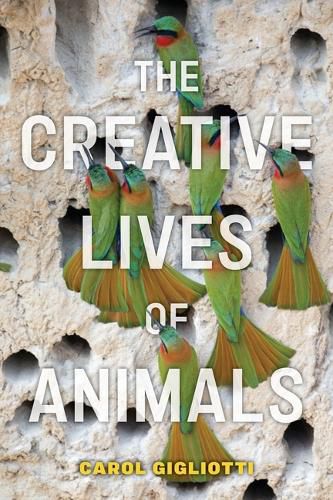 Cover image for The Creative Lives of Animals