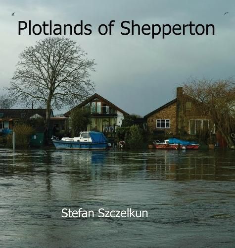 Cover image for Plotlands of Shepperton