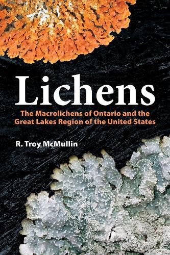 Cover image for Lichens