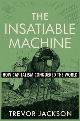 Cover image for The Insatiable Machine
