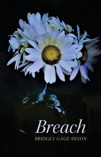 Cover image for Breach