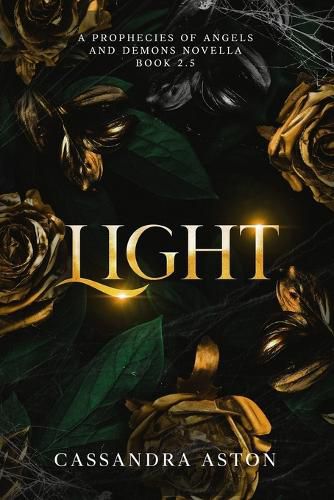 Cover image for Light