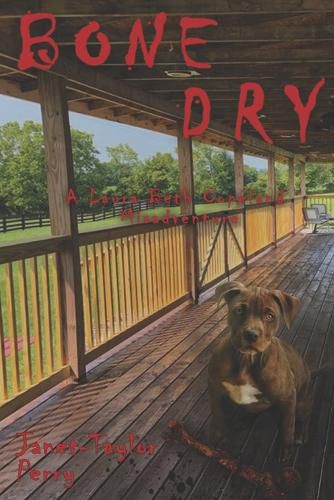 Cover image for Bone Dry