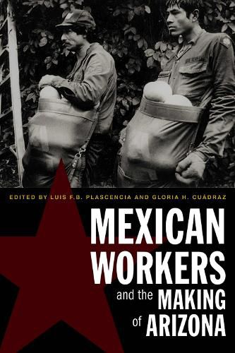 Cover image for Mexican Workers and the Making of Arizona