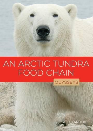 Cover image for An Arctic Tundra Food Chain