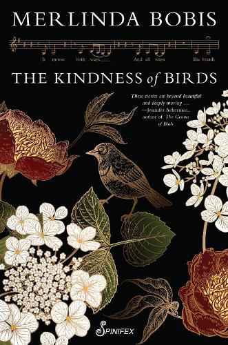 Cover image for The Kindness of Birds