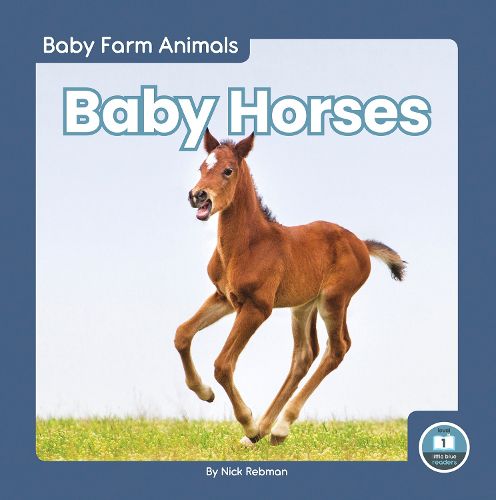 Cover image for Baby Horses