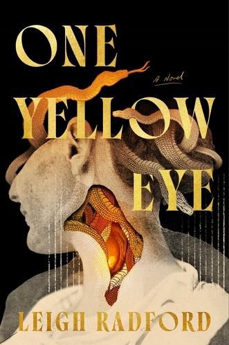 Cover image for One Yellow Eye