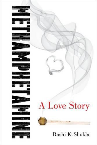 Cover image for Methamphetamine: A Love Story