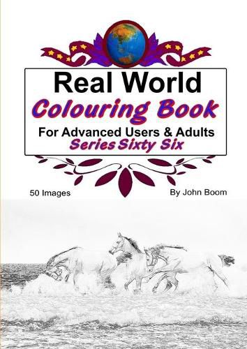 Cover image for Real World Colouring Books Series 66