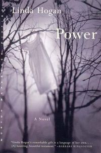 Cover image for Power: A Novel