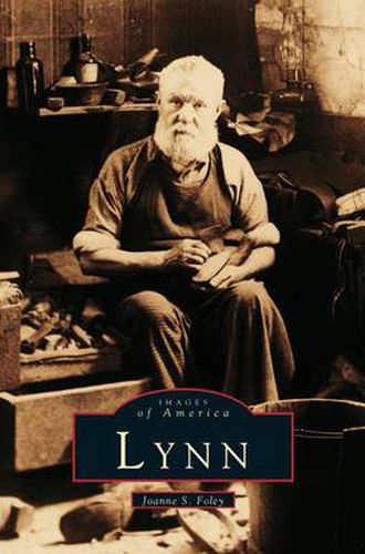 Cover image for Lynn