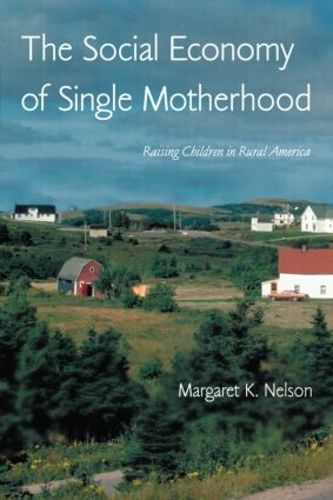 Cover image for The Social Economy of Single Motherhood: Raising Children in Rural America