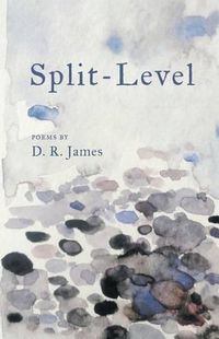 Cover image for Split-Level