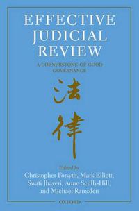 Cover image for Effective Judicial Review: A Cornerstone of Good Governance