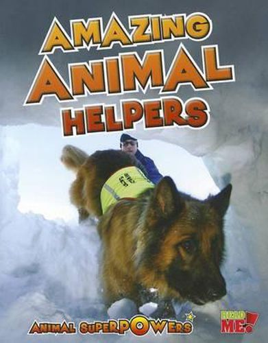 Amazing Animal Helpers