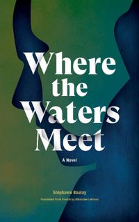 Cover image for Where The Waters Meet: A Novel