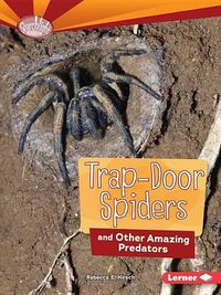 Cover image for Trap-Door Spiders and Other Amazing Predators