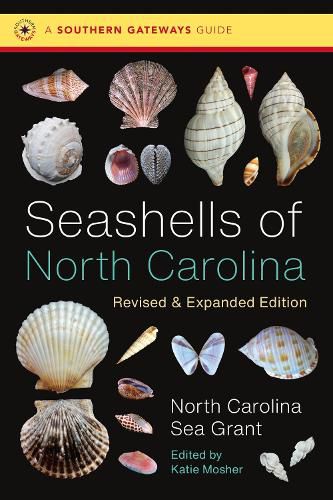 Cover image for Seashells of North Carolina