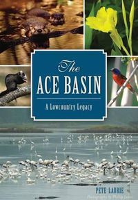 Cover image for The Ace Basin: A Lowcountry Legacy