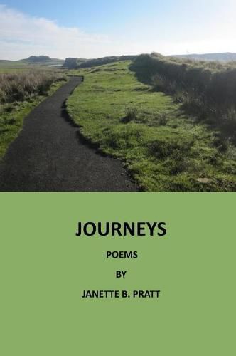 Cover image for Journeys