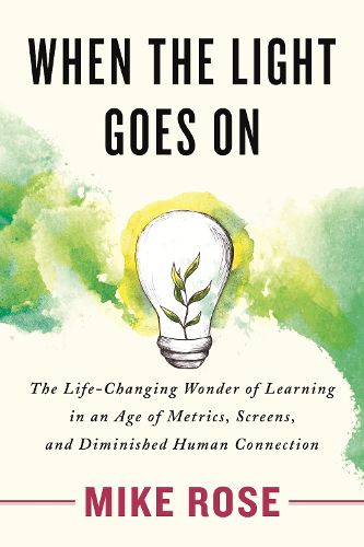 Cover image for When the Light Goes On: The Life-Changing Wonder of Learning in an Age of Metrics, Screens, and Diminish ed Human Connection